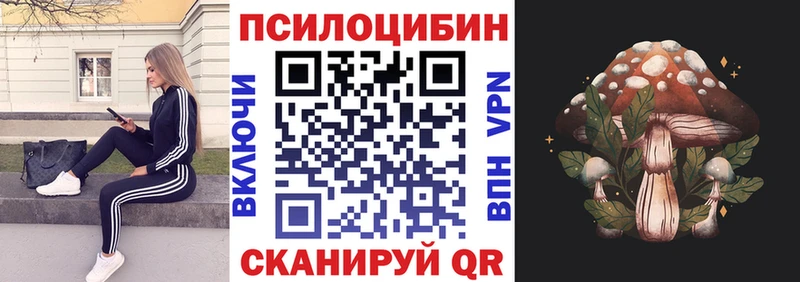 Галлюциногенные грибы мицелий  магазин продажи   нарко площадка какой сайт  Знаменск 