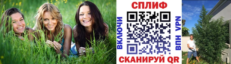 Каннабис Amnesia  что такое   Знаменск 
